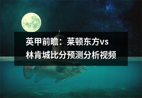 英甲前瞻：莱顿东方vs林肯城比分预测分析视频