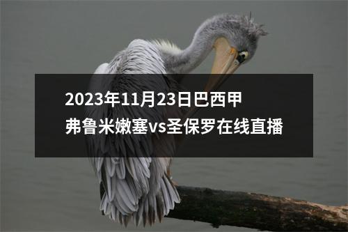 2023年11月23日巴西甲弗鲁米嫩塞vs圣保罗在线直播