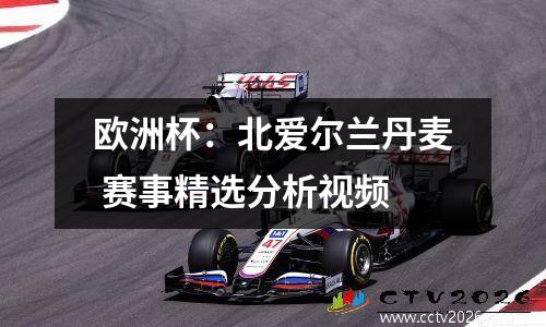 欧洲杯：北爱尔兰丹麦 赛事精选分析视频