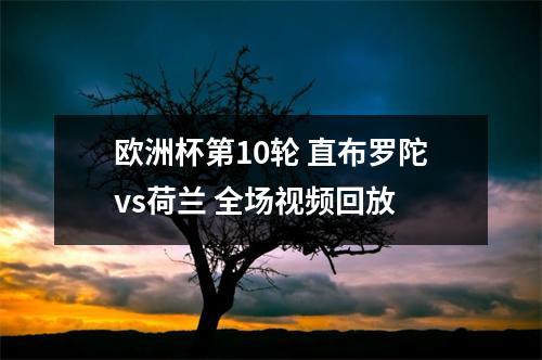 欧洲杯第10轮 直布罗陀vs荷兰 全场视频回放