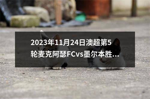 2023年11月24日澳超第5轮麦克阿瑟FCvs墨尔本胜利在线直播