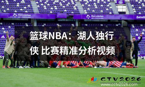 篮球NBA：湖人独行侠 比赛精准分析视频