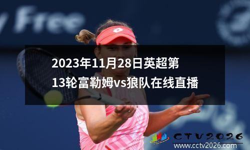 2023年11月28日英超第13轮富勒姆vs狼队在线直播
