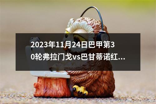 2023年11月24日巴甲第30轮弗拉门戈vs巴甘蒂诺红牛在线直播