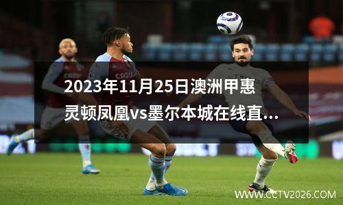 2023年11月25日澳洲甲惠灵顿凤凰vs墨尔本城在线直播