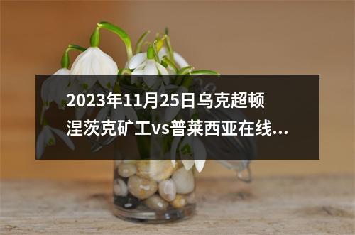 2023年11月25日乌克超顿涅茨克矿工vs普莱西亚在线直播