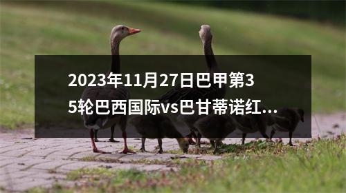 2023年11月27日巴甲第35轮巴西国际vs巴甘蒂诺红牛在线直播