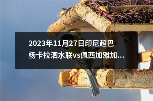 2023年11月27日印尼超巴杨卡拉泗水联vs佩西加雅加达在线直播