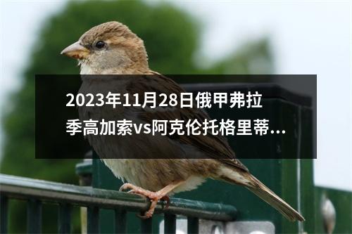 2023年11月28日俄甲弗拉季高加索vs阿克伦托格里蒂在线直播