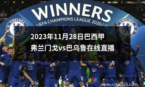 2023年11月28日巴西甲弗兰门戈vs巴乌鲁在线直播