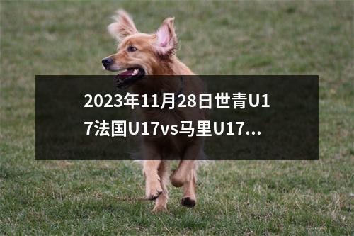 2023年11月28日世青U17法国U17vs马里U17在线直播
