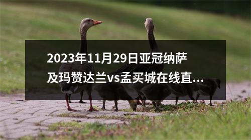2023年11月29日亚冠纳萨及玛赞达兰vs孟买城在线直播