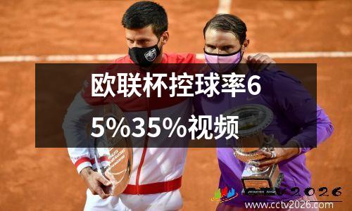 欧联杯控球率65%35%视频