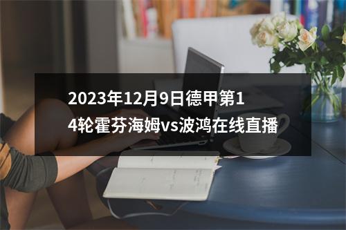 2023年12月9日德甲第14轮霍芬海姆vs波鸿在线直播