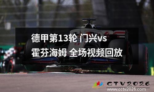 德甲第13轮 门兴vs霍芬海姆 全场视频回放