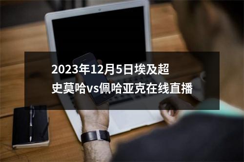 2023年12月5日埃及超史莫哈vs佩哈亚克在线直播
