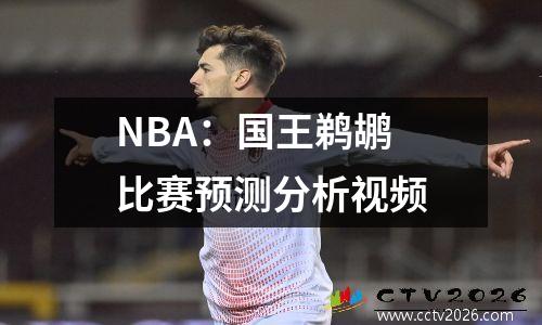 NBA：国王鹈鹕 比赛预测分析视频