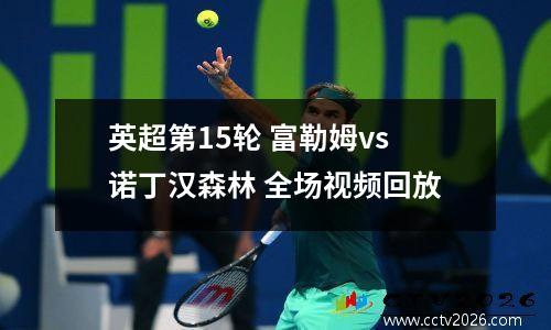 英超第15轮 富勒姆vs诺丁汉森林 全场视频回放
