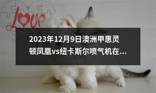 2023年12月9日澳洲甲惠灵顿凤凰vs纽卡斯尔喷气机在线直播
