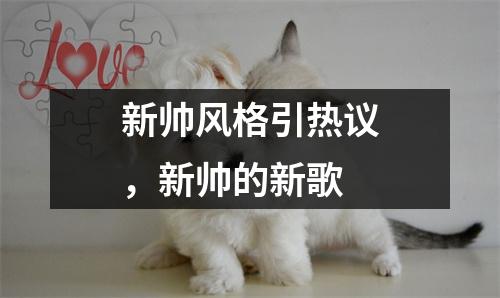 新帅风格引热议，新帅的新歌
