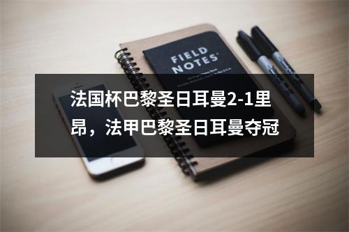 法国杯巴黎圣日耳曼2-1里昂，法甲巴黎圣日耳曼夺冠