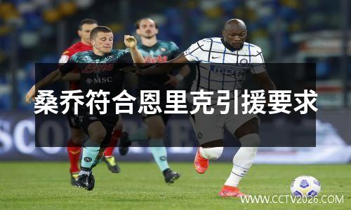 桑乔符合恩里克引援要求