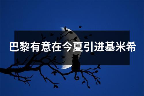 巴黎有意在今夏引进基米希