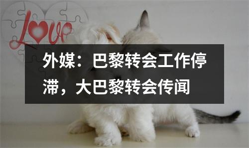 外媒：巴黎转会工作停滞，大巴黎转会传闻