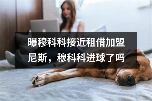 曝穆科科接近租借加盟尼斯，穆科科进球了吗