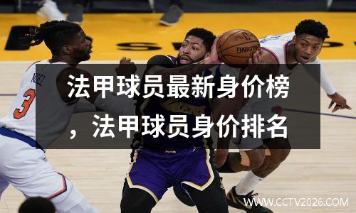 法甲球员最新身价榜，法甲球员身价排名