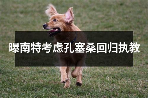 曝南特考虑孔塞桑回归执教