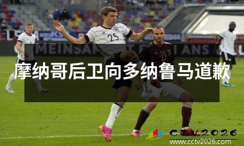 摩纳哥后卫向多纳鲁马道歉
