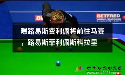 曝路易斯费利佩将前往马赛，路易斯菲利佩斯科拉里