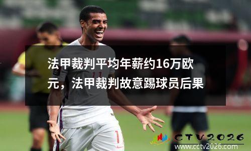法甲裁判平均年薪约16万欧元，法甲裁判故意踢球员后果