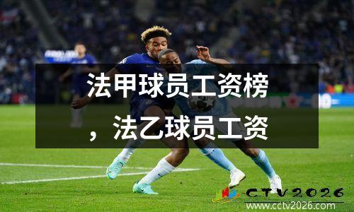 法甲球员工资榜，法乙球员工资