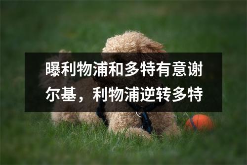 曝利物浦和多特有意谢尔基，利物浦逆转多特