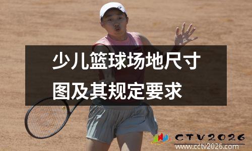少儿篮球场地尺寸图及其规定要求
