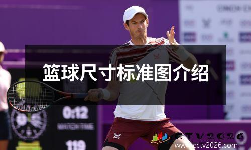 篮球尺寸标准图介绍