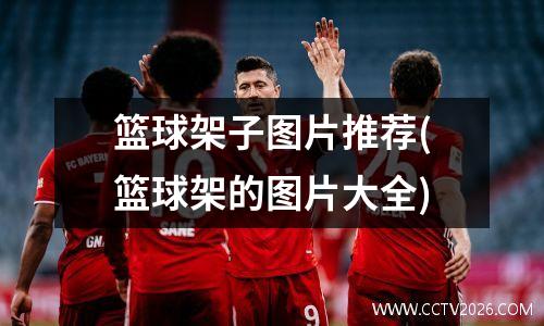 篮球架子图片推荐(篮球架的图片大全)