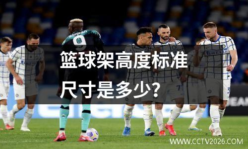篮球架高度标准尺寸是多少？