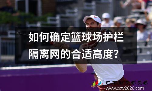 如何确定篮球场护栏隔离网的合适高度？
