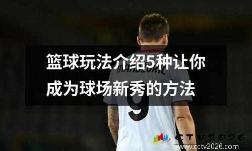 篮球玩法介绍5种让你成为球场新秀的方法