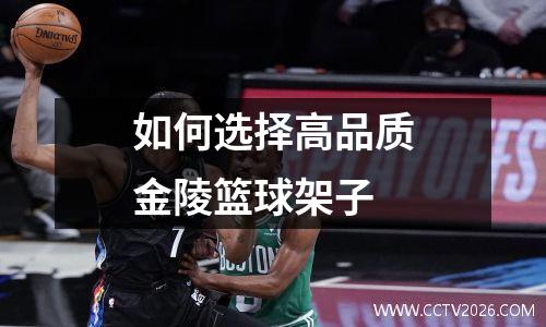 如何选择高品质金陵篮球架子