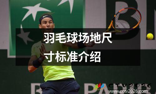羽毛球场地尺寸标准介绍