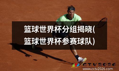 篮球世界杯分组揭晓(篮球世界杯参赛球队)