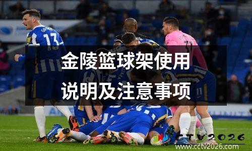 金陵篮球架使用说明及注意事项