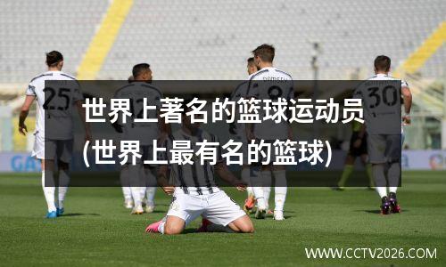 世界上著名的篮球运动员(世界上最有名的篮球)