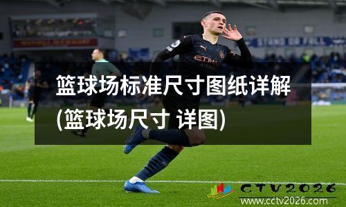 篮球场标准尺寸图纸详解(篮球场尺寸 详图)