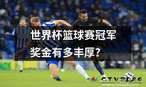 世界杯篮球赛冠军奖金有多丰厚？