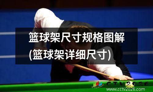 篮球架尺寸规格图解(篮球架详细尺寸)